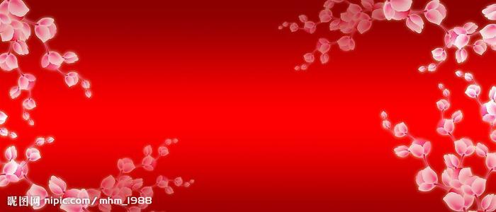 学历证书号和学位证书号还没毕业能查吗